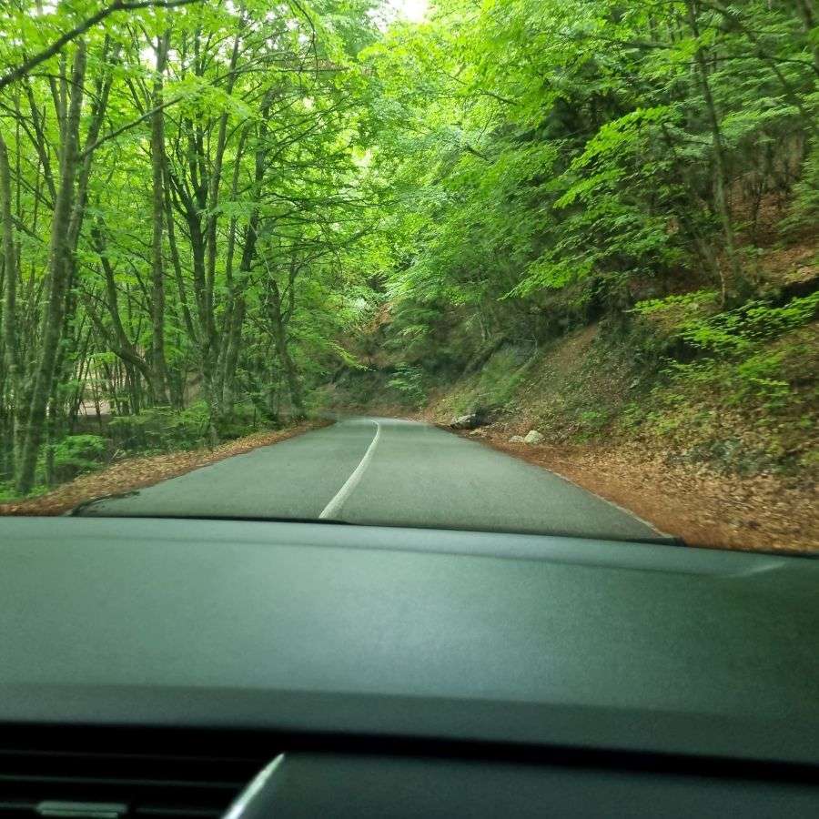 הכביש לפריונה.jpg