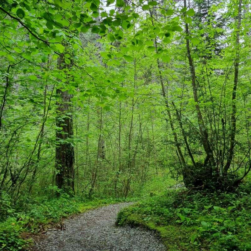 The trail from the Old Monastery to Prionia