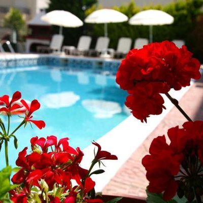 Olympus Hotel Villa Drosos1