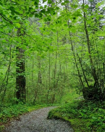 The trail from the Old Monastery to Prionia